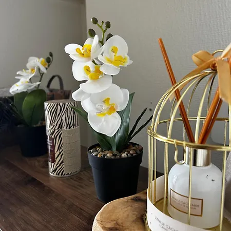Apartment Equipe Avec Balcon Evreux